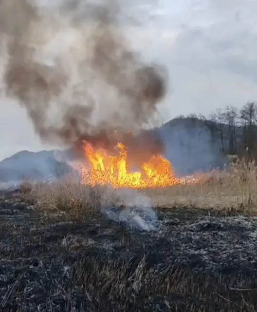 Foto: Freiwillige Feuerwehr Zell-Gurnitz