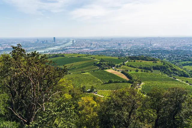 Ist man auf dem Kahlenberg angekommen, öffnet sich einer der besten Blicke auf die Stadt.  | Foto: panthermedia/StockWithMe