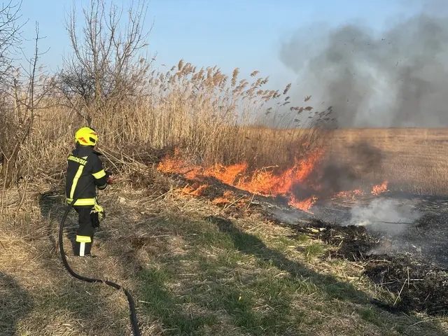 Beim Eintreffen der Einsatzkräfte hatte sich das Feuer bereits über eine größere Fläche ausgebreitet. | Foto: FF Mörbisch