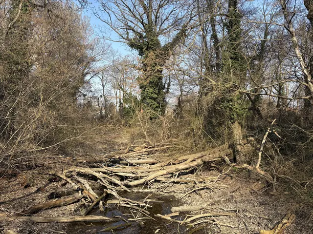 Foto: Claudia Bräuer