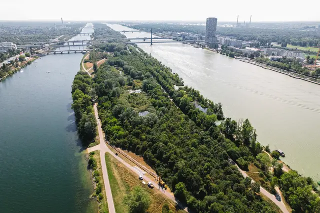 Die Donauinsel ist ein wahres Freizeitparadies. Hier kann man sich auf knapp 21 km Länge Radfahren, Inline-Skaten, Beachvolleyball-Spielen, oder sich auf einer der unzähligen Wiesen entspannen.  | Foto: Enjoythesoup