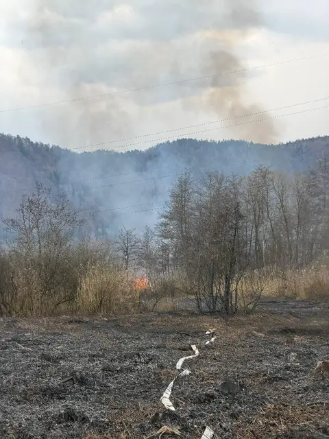 Foto: Freiwillige Feuerwehr Zell-Gurnitz