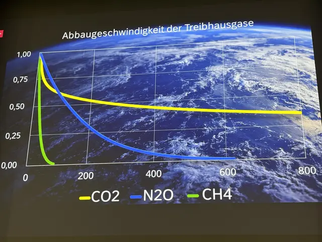 Diese Grafik zeigt die Abbaugeschwindigkeit der Treibhausgase.  | Foto: Elisabeth Zangerl