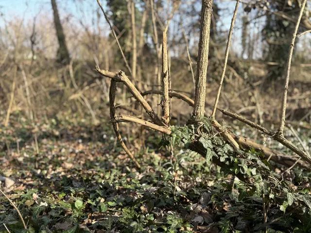 Foto: Claudia Bräuer