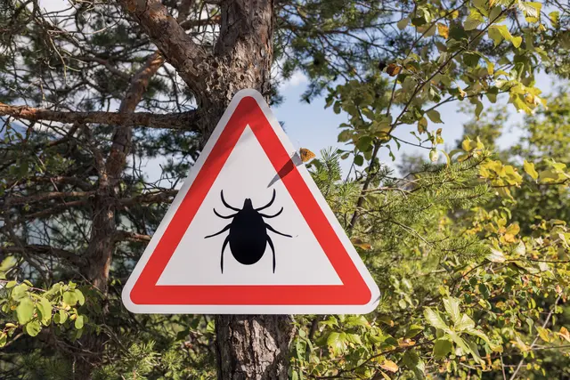 Aufgrund des Klimawandels beginnt die Zeckensaison immer früher. | Foto: 24K-Production/Smarterpix