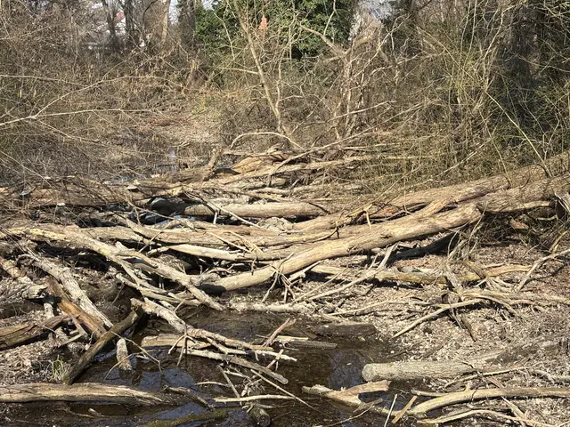 Foto: Claudia Bräuer