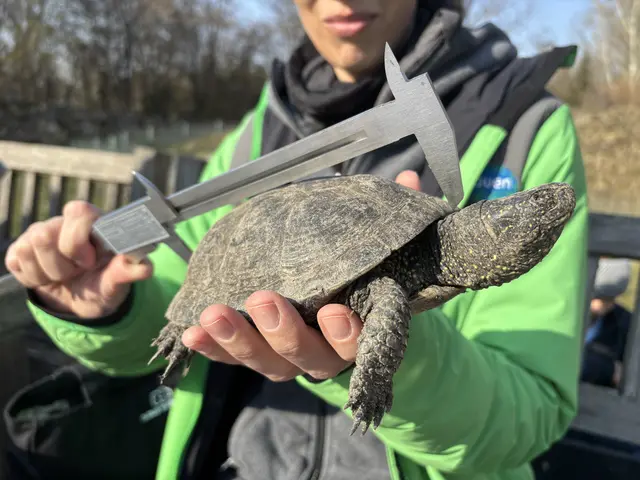 Foto: Claudia Bräuer