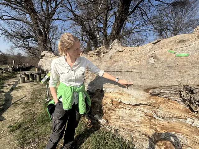 Foto: Claudia Bräuer