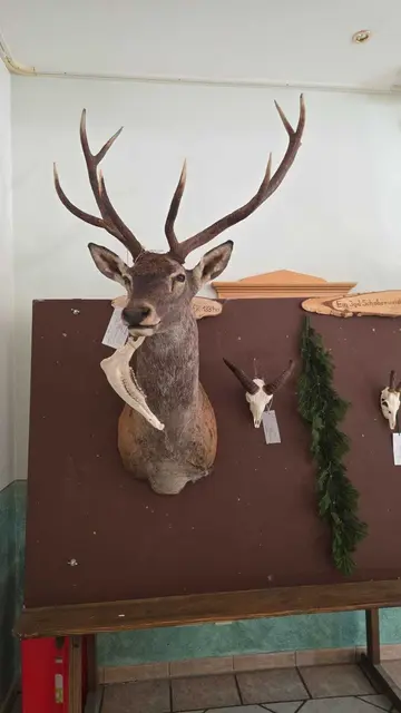 Foto: Gemeinde Puchberg