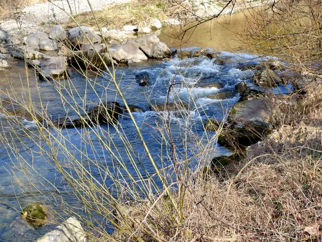 An der Fischach.
 | Foto: H.Bachinger