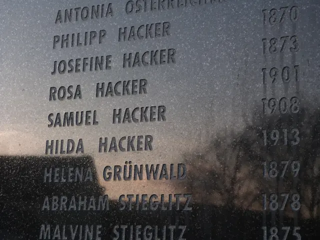 Foto: Vanessa Wittmann