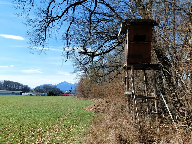 Foto: H.Bachinger