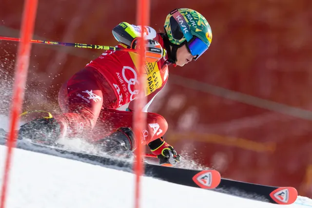 Die Fahrt zur kleinen Kristallkugel: Julia Scheib gewinnt Riesentorlauf-Weltcup. | Foto: GEPA Pictures