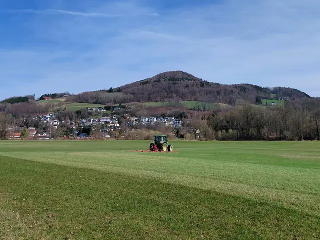 Blick auf den Voggenberg  | Foto: H.Bachinger