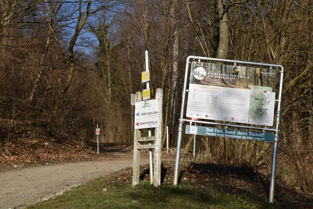Foto: MeinBezirk/Michael Strini