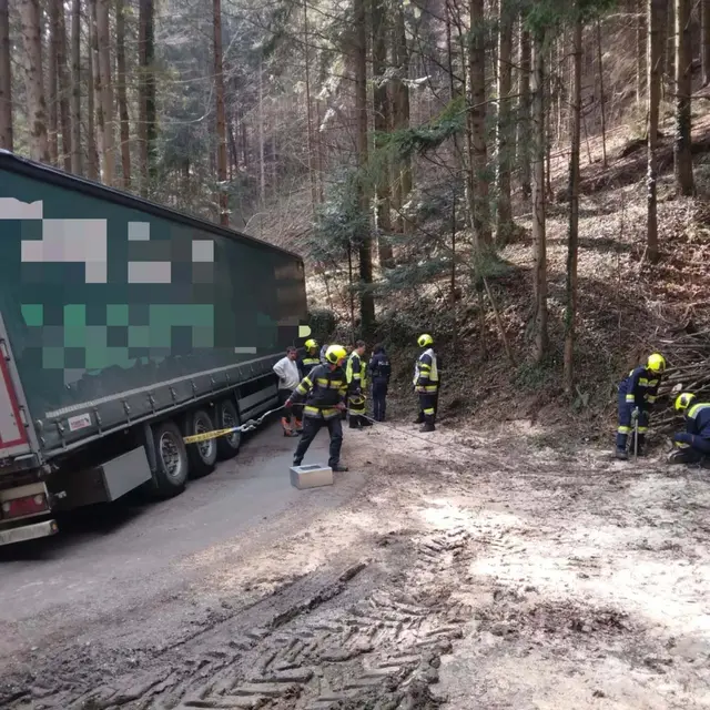 Ein litauischer Lkw verirrte sich in einem Wald in Stallhofen und steckte fest. | Foto: FF Stallhofen
