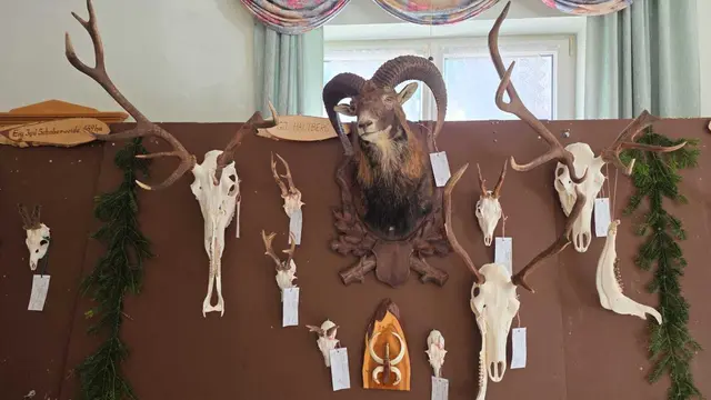 Foto: Gemeinde Puchberg