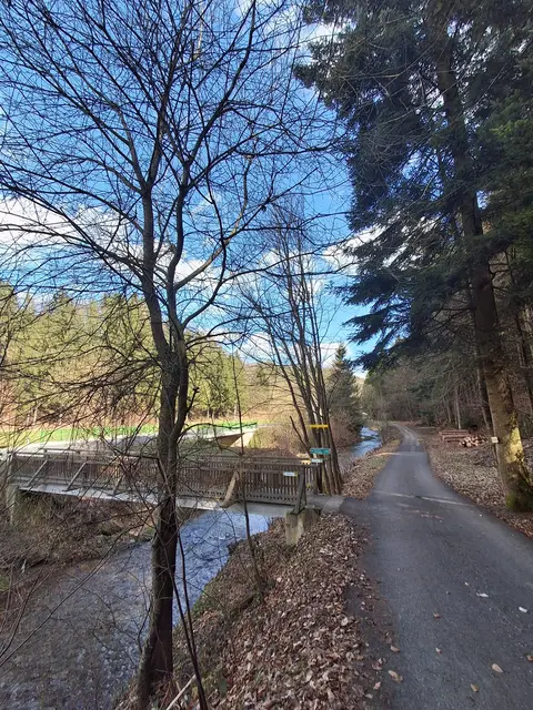 Links über den Zöbernbache | Foto: Gold Michaela