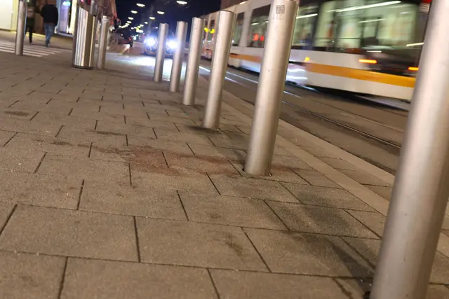 Foto: laumat/Matthias Lauber