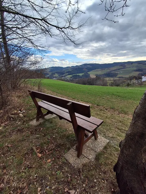Blick auf Bad Schönau  | Foto: Gold Michaela