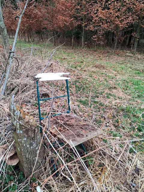 und immer wieder sehr ich verschiedenste Sessel stehen | Foto: Gold Michaela