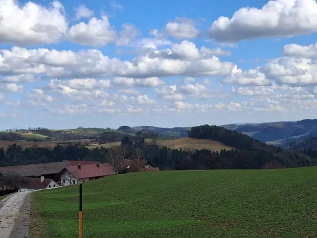 Bucklige Welt  | Foto: Gold Michaela