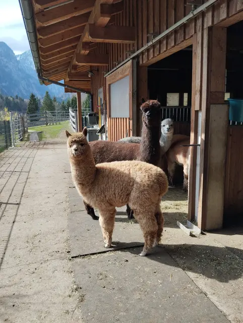 Wer kommt denn da?