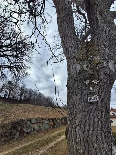 Jooo ,wer schaut denn da so grimmig? | Foto: Gold Michaela