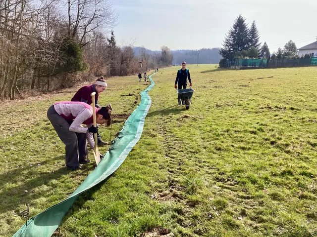 Ein 400 Meter langer Zaun wird aufgebaut. © H. Kurz