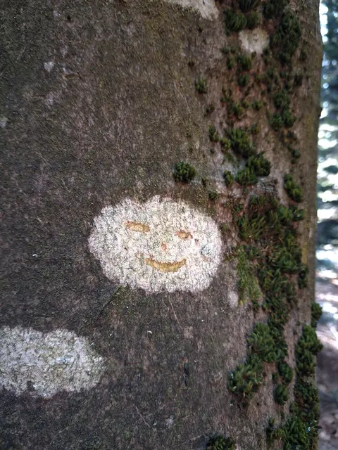 Mondgesicht mal anders | Foto: Gold Michaela