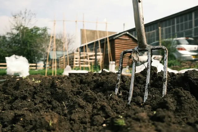 Mit den ersten wärmenden Sonnenstrahlen beginnt die Gartensaison, und es ist der ideale Zeitpunkt, um Garten und Balkon aus dem Winterschlaf zu holen. | Foto: Unsplash/Roberto Catarinicchia