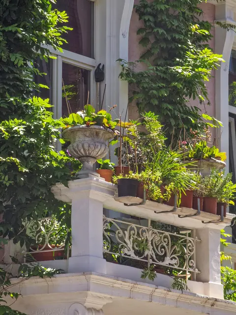 Auch ein Balkon kann in eine grüne Oase verwandelt werden. | Foto: Unsplash/Meshaal Al Hajali