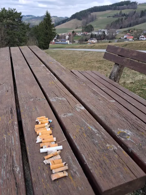 Tschickstummel hab ich auch mal wieder gesammelt | Foto: Gold Michaela