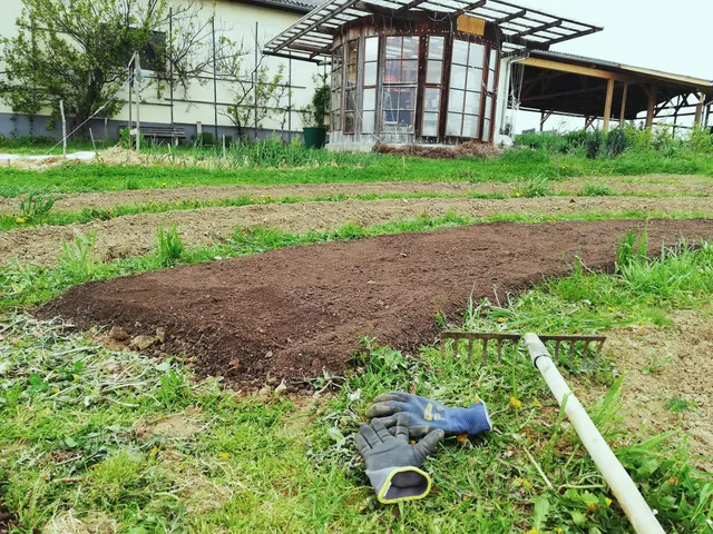 Auf einer Fläche von bis zu 20 Quadratmetern können Teilnehmer in naturbelassener Gartenerde ihr eigenes Gemüse ziehen.  | Foto: Windischbauer