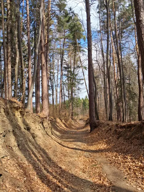 Die Wege hinunter sind lichter | Foto: Gold Michaela