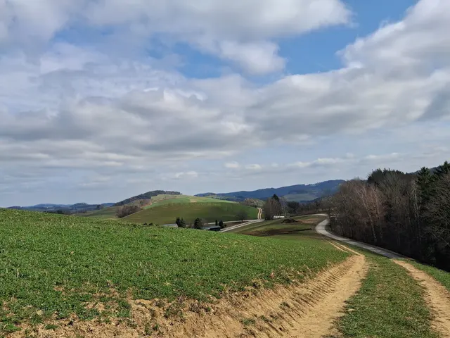 Almen wieder Richtung Bad Schönau  | Foto: Gold Michaela