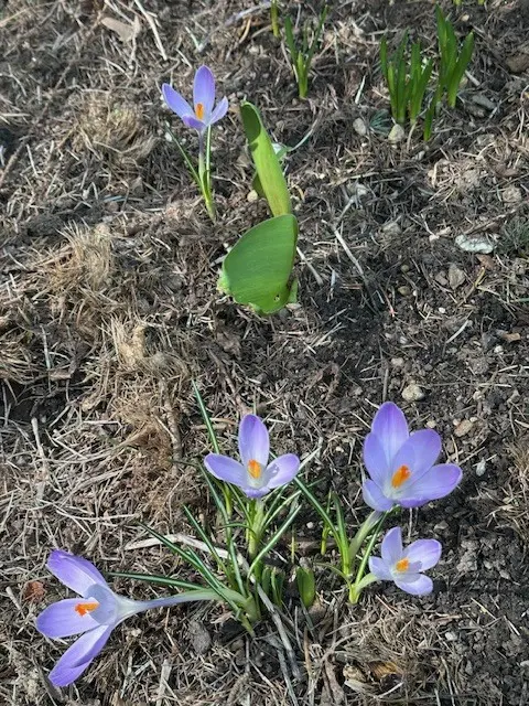 ... bewundert werden.