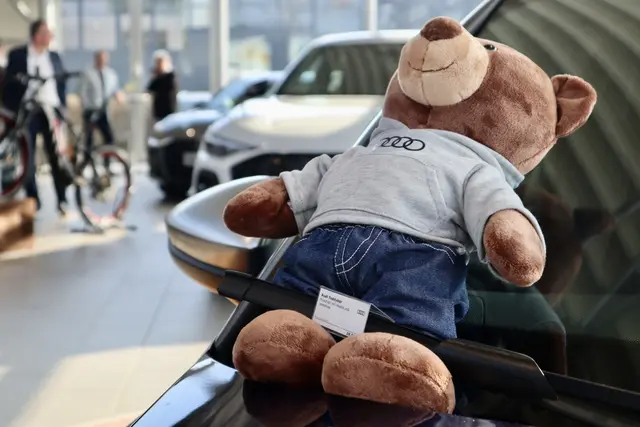 Kleiner Fellfreund im Autohaus Spreng | Foto: Carina Kühn