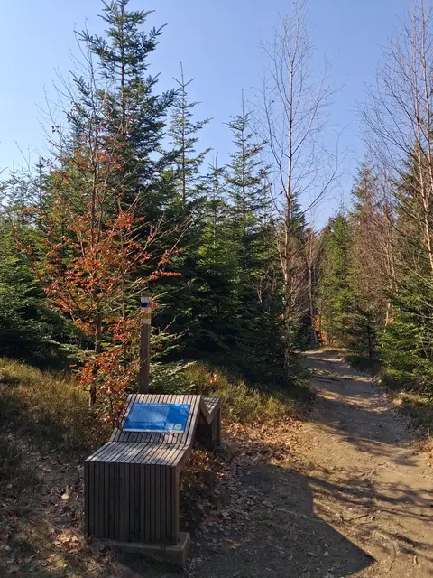 Hier raste ich und genieße die wärmende Sonne | Foto: Gold Michaela