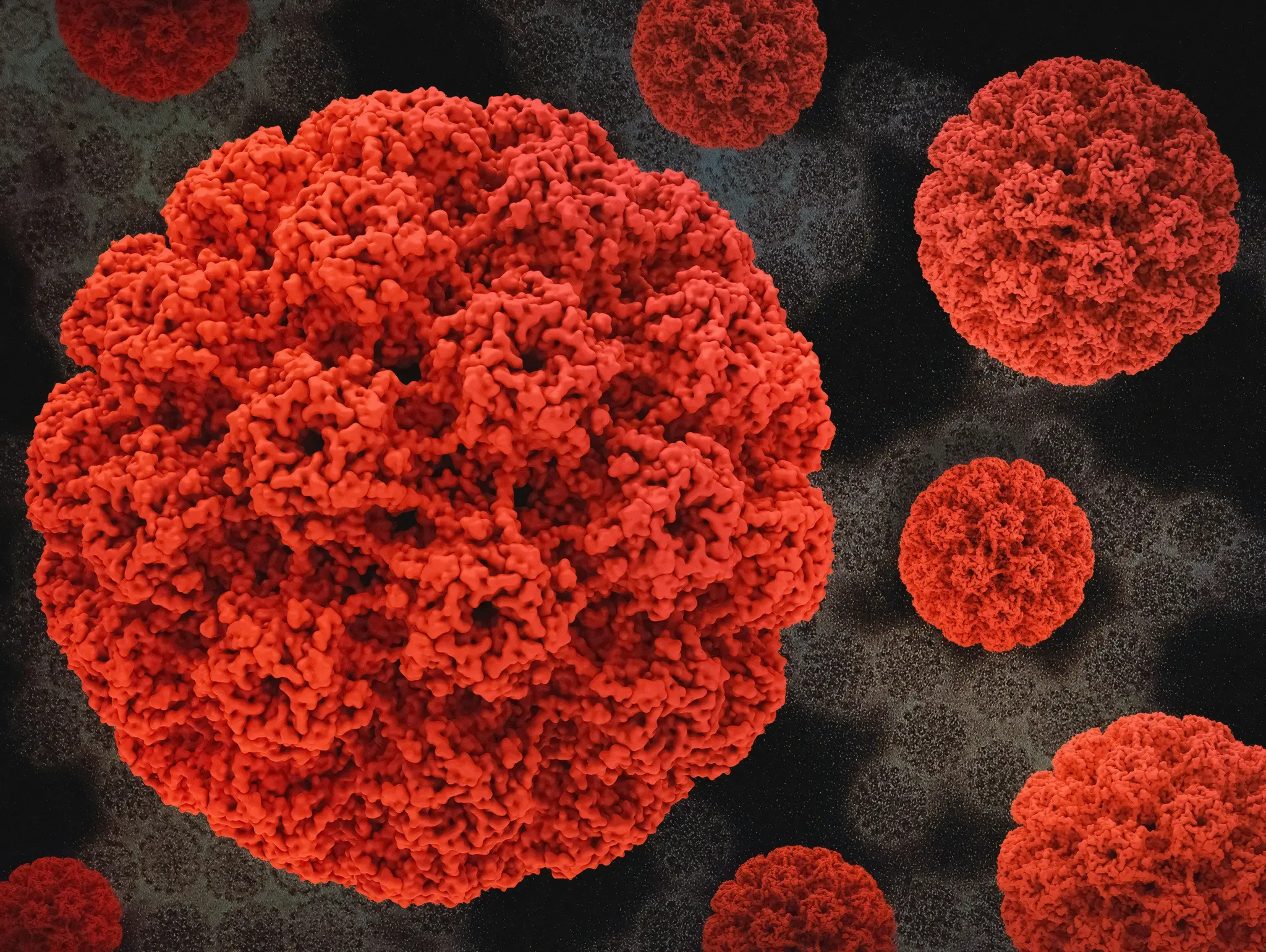 Study shows: HPV is not the only cause of anogenital cancer