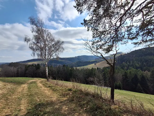 Über Wiesen und .... | Foto: Gold Michaela