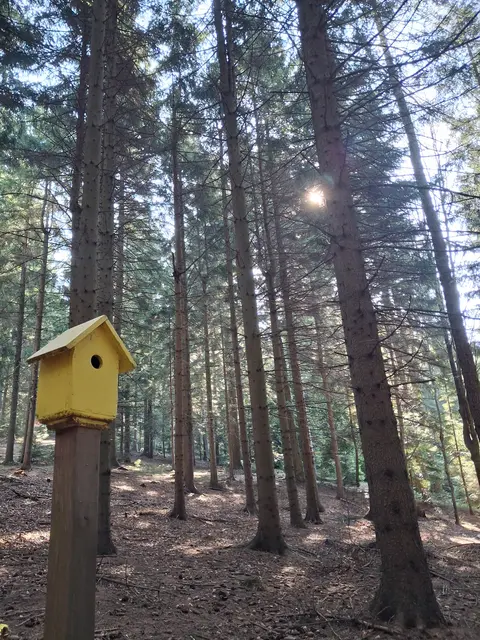 Das erste Häuschen, das mich an den Bakabu Walderlebnisweg erinnert | Foto: Gold Michaela