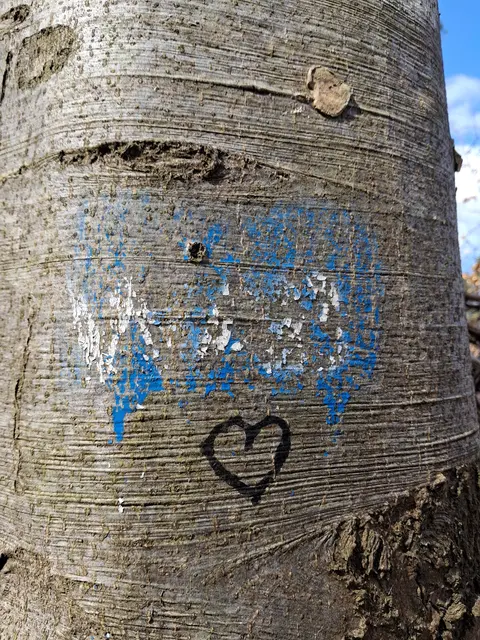 Ein Herzerl das ich entdeckt hab | Foto: Gold Michaela