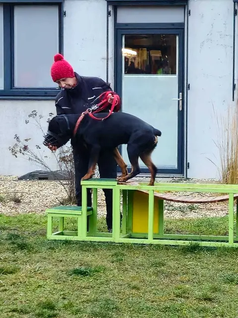 Die Besucher haben die Gelegenheit, das Tierheim bei laufenden Führungen näher kennenzulernen.  | Foto: Dechanthof