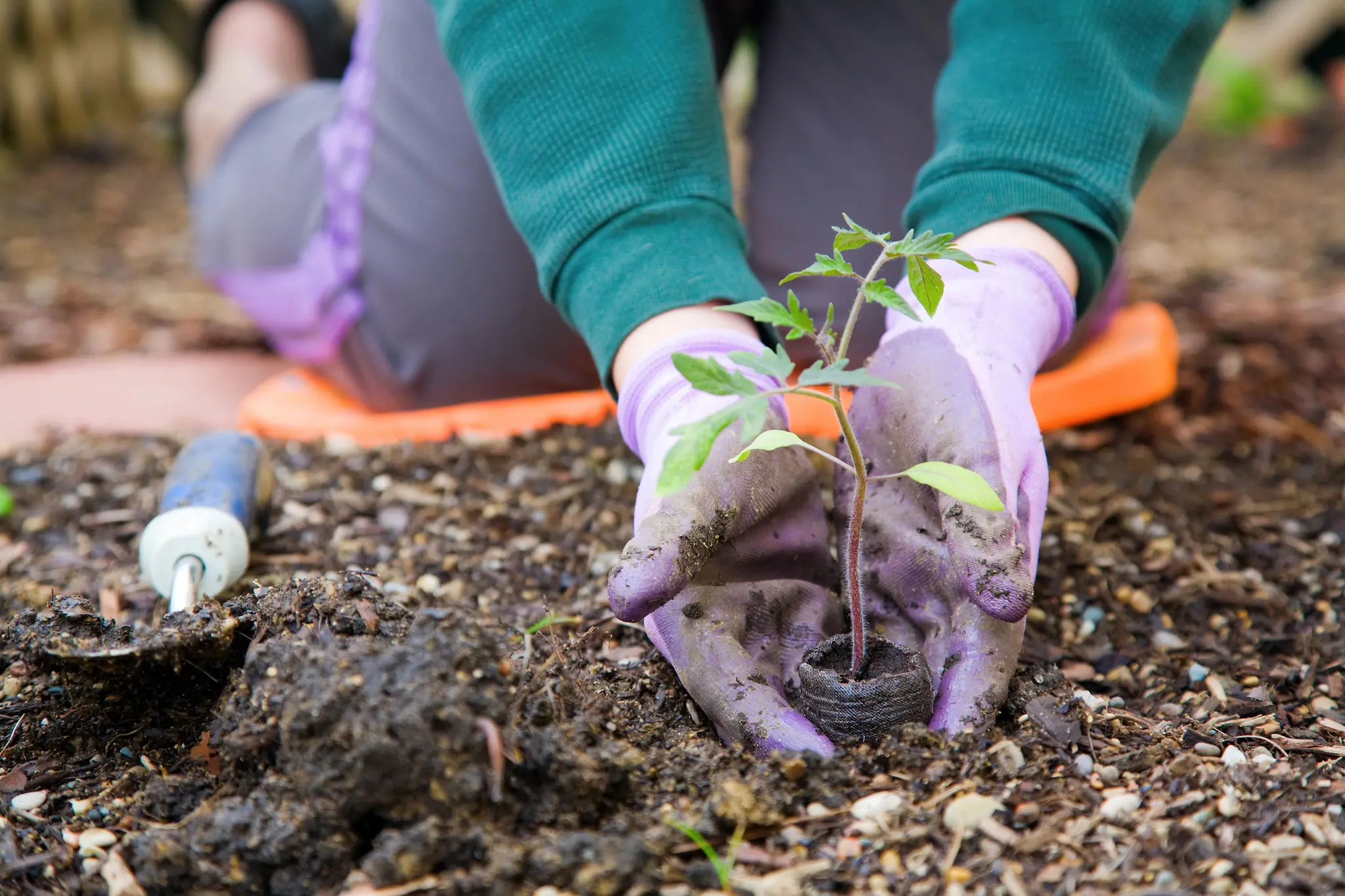 Welser Profis geben Tipps: Der gelungene Start in die Gartensaison - Wels ...