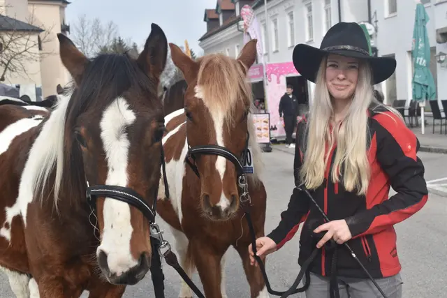75 Pferde aller Rassen und Größen wurden am Marktplatz den Preisrichtern und Besuchern am Vormittag vorgeführt. | Foto: Marktgemeinde Riedau
