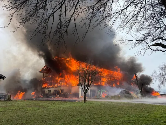 Die Brandursache bzgl. des Stallbrandes dürfte geklärt sein.  | Foto: ZOOM.Tirol