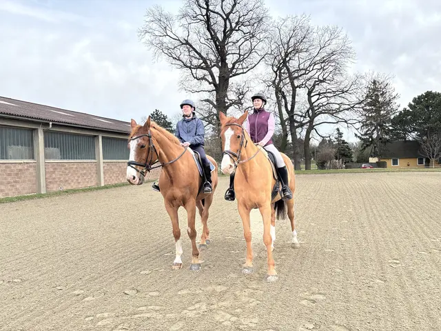 Andreas Schwach (l.) reitet auf Bigi, Marele Sladek reitet auf Ohgy. | Foto: Mathias Kautzky/MeinBezirk