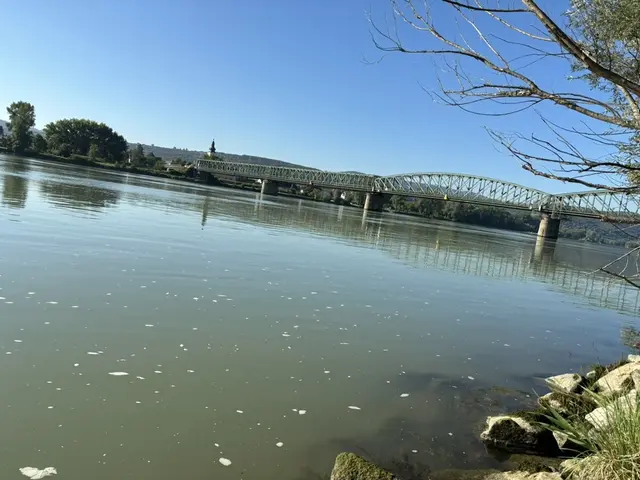 Foto: sg