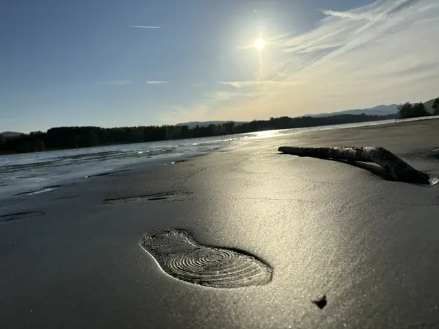 Foto: sg